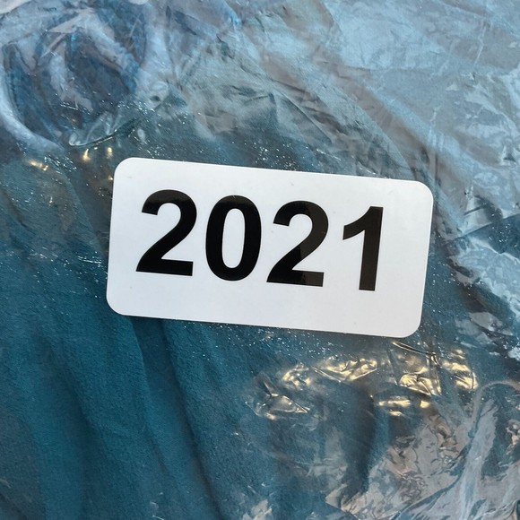 Eley Kishimoto Dress Women Size 4 Teal Blue Silk Sheer Lined Elastic Waist - Picture 14 of 14